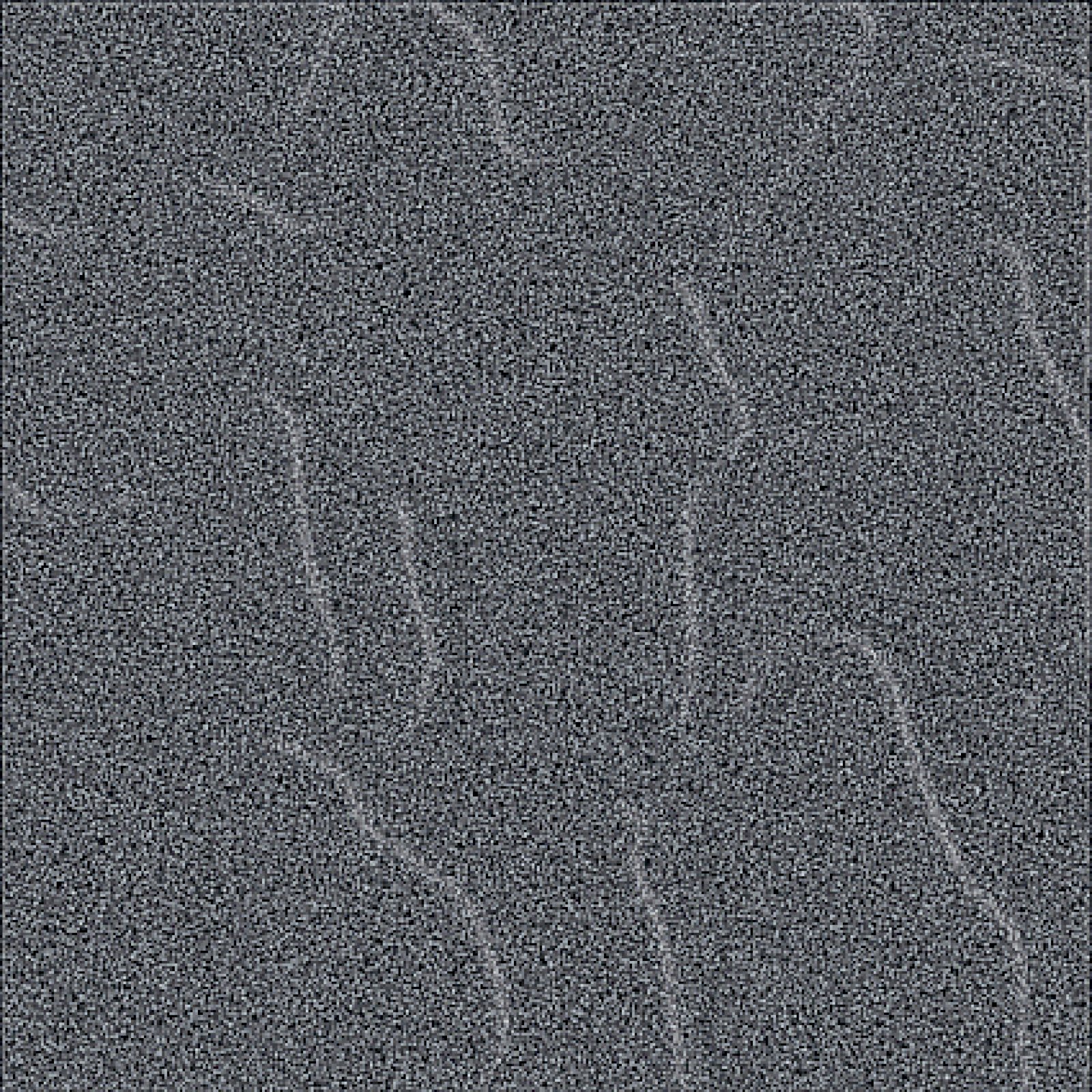 Asia Tile Roxy Balck 20x20